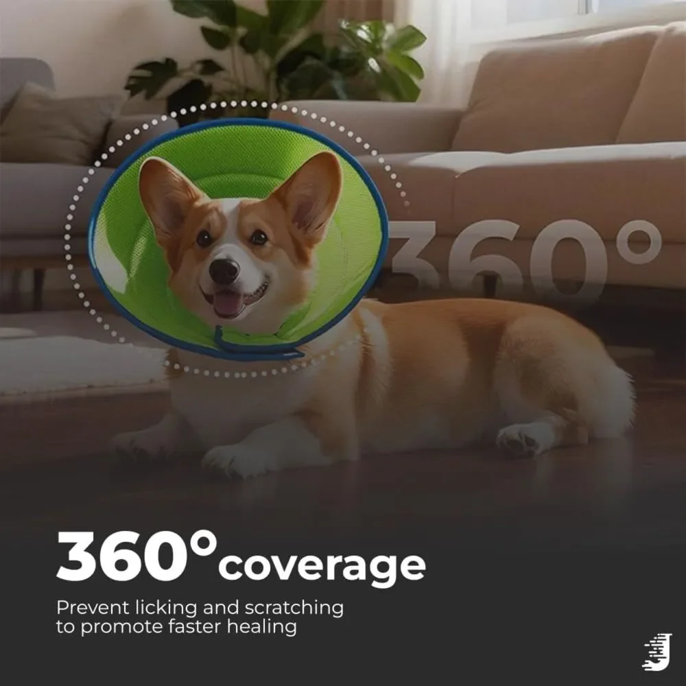 Soft Dog Cone Collar - M